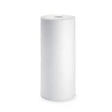 CFS 1 Micron Heavy Duty Filter for RS16-SS2-S06, BF6, BF7, BF35, 1 Pack