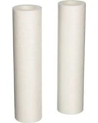 CFS - 2 Pack Water Filter Cartridges Compatible with GXWH04F, GXWH20S Models - Remove Bad Taste and Odor - Whole House Replacement Filter Cartridge - 10 in x 2.5 in - White