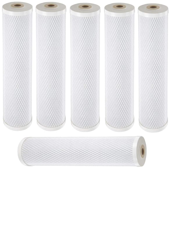CFS Radial Flow Carbon Filter, 20 x 4.5 in, 6 Pack, Fits Pentek RFC20-BB