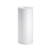 CFS Heavy Duty Filter Cartridge – 1 Micron – Fits BF6, BF7, BF9C, BF35