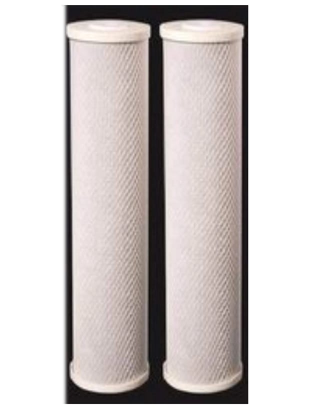 CFS Radial Flow GAC Carbon Filter – 2 Pack – 20 Micron – 20" x 4.5" – Fits Big Blue
