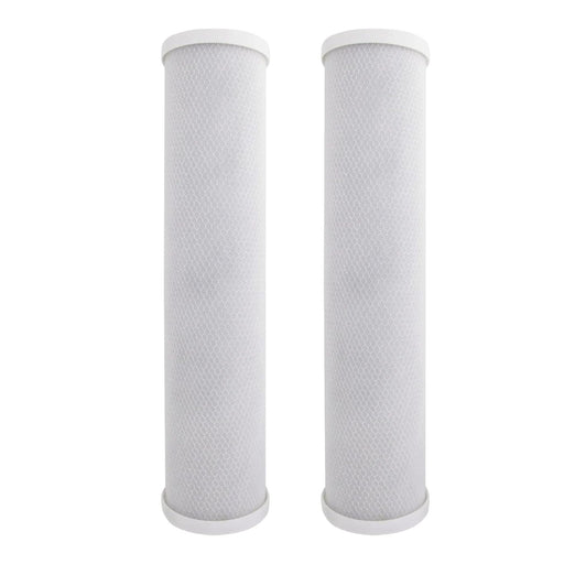 CFS Carbon Block Cartridge – 2 Pack – 10 Micron – 20" x 4.5" – Fits C2-02