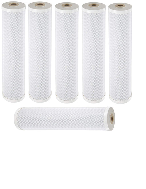 CFS Radial Flow Iron Reduction Water Filter – 6 Pack – Fits 155263, RFFE20-BB