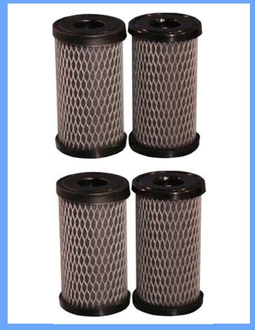 CFS Carbon Impregnated Cellulose Filter – 2 Pack – 5" x 2.5" – Fits C2, W5CIP478