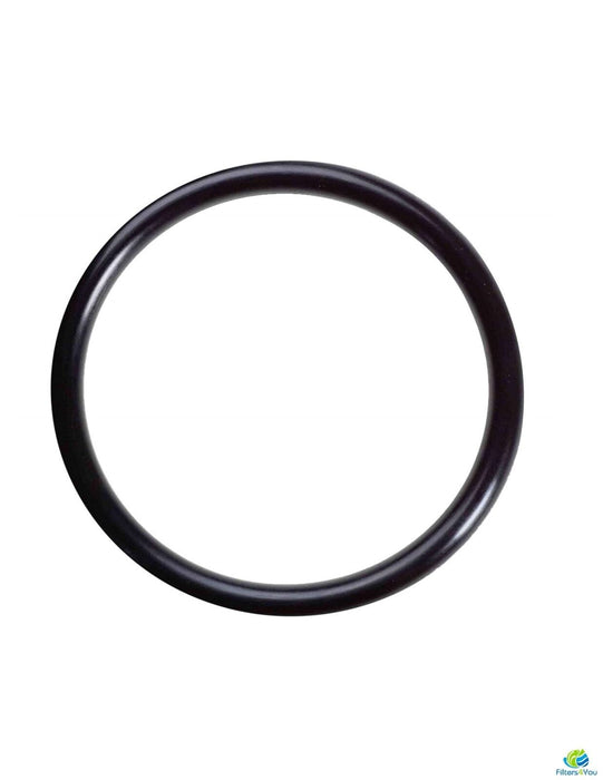 O-Rings for The Water Pur Company RCS 10-inch RV Water Filter Canister - 3 Pack