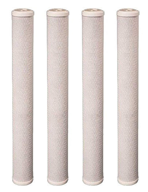 CFS Carbon Block Water Filter Cartridges – 4 Pack – Fits 20" Housings