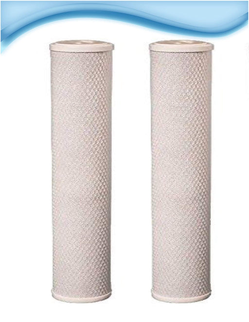 CFS – 2 Pack Carbon Block Replacement Water Filter Cartridges Compatible with EP-20BB Models – Remove Bad Taste & Odor – Whole House Replacement Water Filter Cartridge, 4.5 x 20 Inch -White