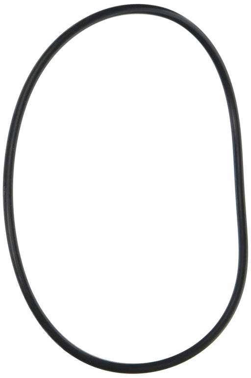 Ametek W10-OR O-Ring for Water Filter
