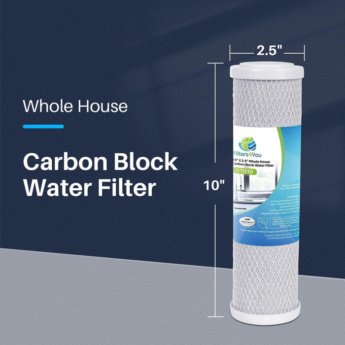 CFS – 12 Pack Carbon Block Water Filter Cartridge Compatible with Flow-Pur 8, WCBCS-975-RV Models – Removes Bad Taste and Odor – Whole House Replacement Filter Cartridge – 10“ x 2.5”