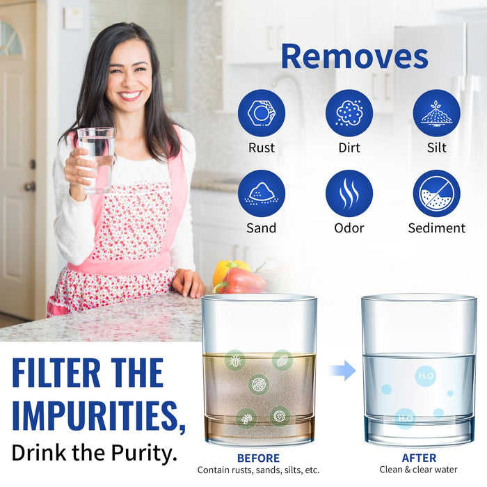 CFS Carbon Block Water Filters – 4 Pack – 10 x 2.5 – Fits T01-SS, T01-DS, C1, D-10