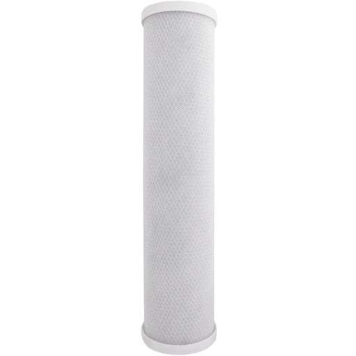 155263, RFFE20-BB Compatible Radial Flow Iron Reduction Cartridge
