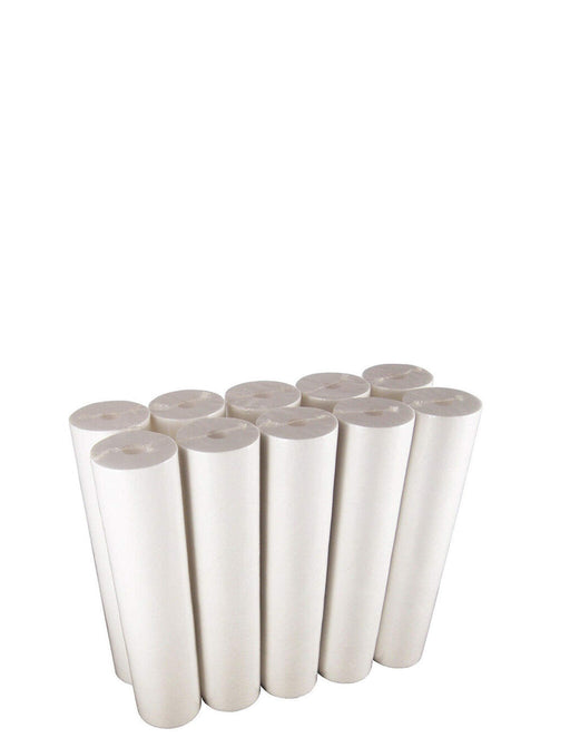 CFS Replacement Water Filters – 10 Pack – Fits Whole House FP Premier