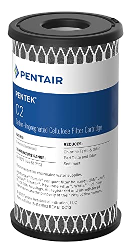 Pentair Pentek C2 Carbon Water Filter, 5-Inch, Under Sink Dual Purpose Powdered Activated Carbon-Impregnated Cellulose Replacement Cartridge, 5" x 2.5", 5 Micron