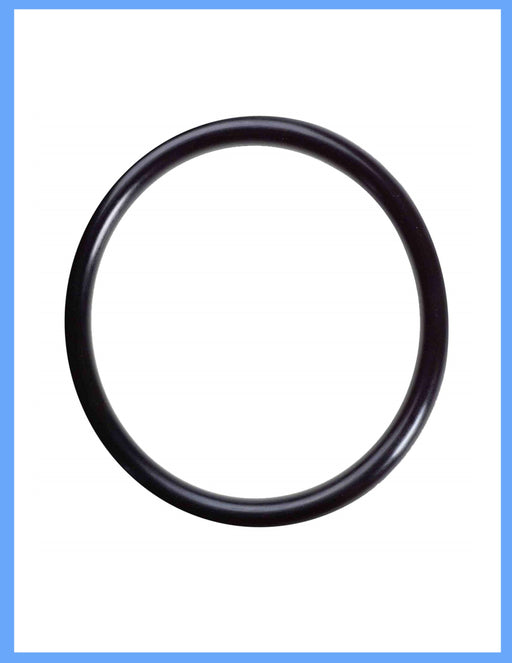 WATTS WATTS-OR-4 Replacement O-Ring